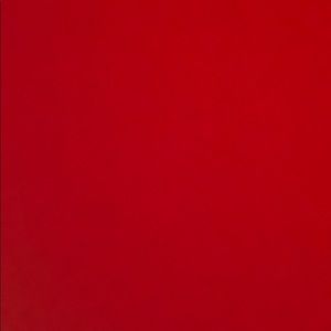 Meet your Posher, Antonio